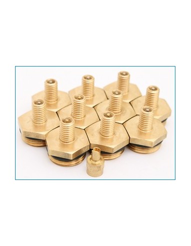 Korek ½” z wentylkiem do prób ciśnieniowych i hydroforów – zestaw 10 sztuk