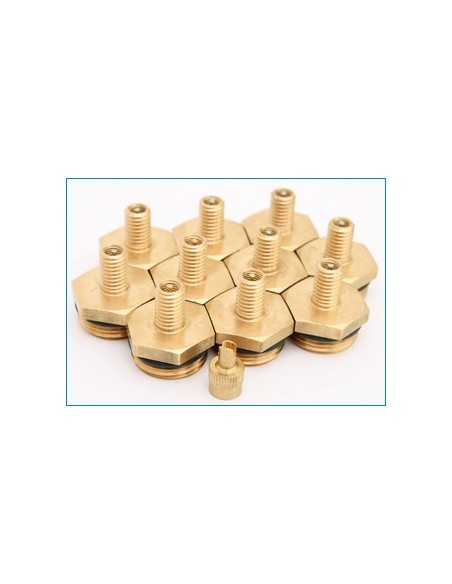 Korek ½” z wentylkiem do prób ciśnieniowych i hydroforów – zestaw 10 sztuk